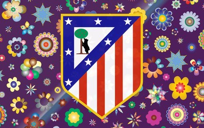 球探体育动态-韩国篮球国家队集训强度过大