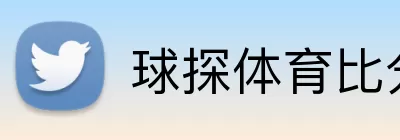 球探体育比分 Logo